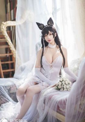 d2视频在线观看_免费在线观看播放